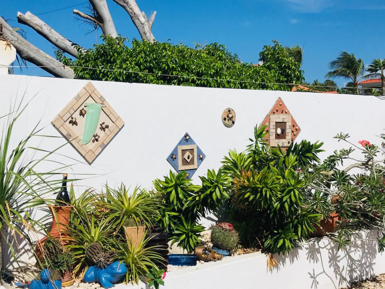三角梅阿鲁巴别墅，探戈套房 棕榈滩 外观 照片